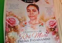 Tarapoto: Joven madre fallece tras nueve días de lucha contra el dengue hemorrágico
