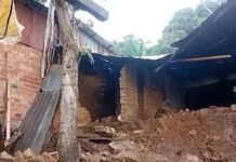 San Martín: Lluvias provocan colapso de pared y ponen en riesgo a familia vecina en La Banda de Shilcayo