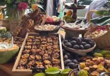 San Martín: Juanjuí alista el IV Festival de la Gastronomía Amazónica Sabores de Selva del 26 al 28 de junio