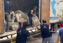 Tarapoto: ODPE San Martín recibe material electoral para la Segunda Elección Presidencial 2026