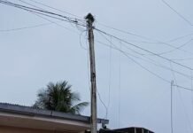 Tarapoto: Poste inclinado que amenaza con colapsar en el jirón Cusco, vecino señala que a nadie le interesa
