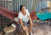 Morales: Adulta mayor pide ayuda para proteger a gatos rescatados, ya no puede cuidarlos
