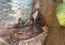 San Martín: Convocan jornada de limpieza para recuperar ojo de agua en histórica escalinata de Tarapoto