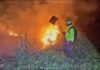 Tarapoto: Brigada Verde combatió cuatro incendios en una semana y alerta por riesgo de nuevos siniestros