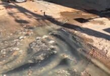 Morales: Colapso de desagüe afecta viviendas en Brisas del Cumbaza, vecinos exigen intervención urgente de EMAPA