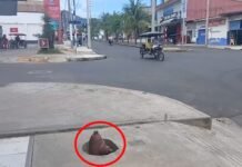 San Martín: Bomberos alertan riesgo por hidrante semi-enterrado en pleno centro de Tarapoto