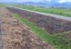 San Martín: Vecinos exigen acciones urgentes para frenar incendios cerca del aeropuerto de Tarapoto