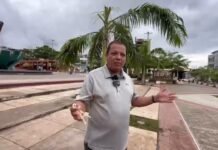 Tarapoto: Ecoguerrero cuestiona gestión de Lluni Perea por daños a palmera en Plaza Mayor, pide no realizar eventos en el lugar