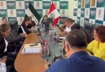 Tarapoto: Regidores de la MPSM exigen explicación por autorización para colocar toldos que afectó palmera en Plaza Mayor