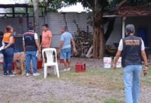 San Martín: Inspeccionan cabezonías para garantizar seguridad en Fiestas Patronales de Tarapoto 2026