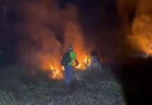 Tarapoto: Brigada Verde convoca voluntarios y solicita apoyo para combatir incendios forestales