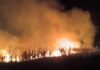 Tarapoto: Juramentan brigadas comunitarias para controlar incendios forestales en Sacanche