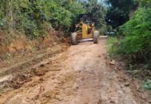 La Banda de Shilcayo: Mejoran carretera de acceso al sector Alto Polish para facilitar transporte de productos agrícolas
