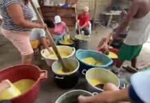 San Martín: Morales se prepara para vivir sus fiestas patronales en honor a Santa Rosa de Lima