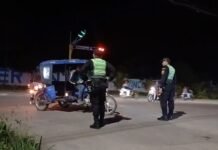 San Martín: PNP refuerza seguridad en feria por aniversario de Tarapoto y reduce robos