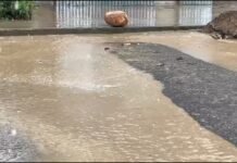 Tarapoto: INDECI reporta lluvias moderadas e intensas en San Martín, pero sin afectaciones