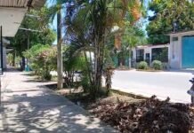 Tarapoto: Vecinos del Jr. Ramón Castilla piden mayor control policial ante conflictos por servicios sexuales