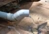Tarapoto: Vecinos de la Urbanización 09 de Abril recurren al ojo de agua Sachapuquio ante falta de agua potable