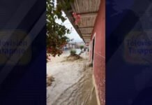 San Martín: Torrencial lluvia causa estragos en Tarapoto y alrededores