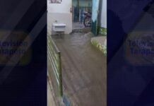 San Martín: Defensa Civil se mantiene en alerta ante posible desborde de ríos e inundaciones