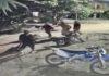 Tarapoto: Sujetos armados con machetes dañan dos motocicletas y generan temor en el sector 10 de agosto