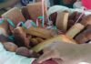 San Martín: La Banda de Shilcayo celebra fiestas patronales con tradicional entrega de voto y piqueo