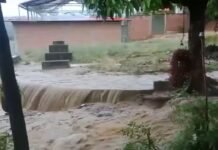 La Banda de Shilcayo: Tras sufrir inundación por aguas pluviales, vecinos abren cuneta que se encontraba repleta de basura