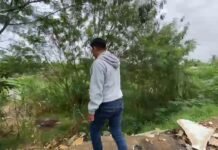 Tarapoto: Vecinos de Las Dunas denuncian presunta apropiación de área pública