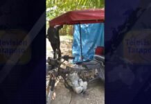 Morales: Hallan trimóvil desmantelado y detienen a sujeto en cuya casa encontraron algunas partes