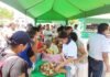La Banda de Shilcayo: Fiestas patronales de la Virgen de Los Remedios tendrán solo dos cabezonías