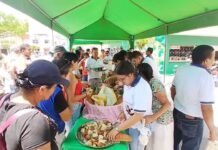 La Banda de Shilcayo: Fiestas patronales de la Virgen de Los Remedios tendrán solo dos cabezonías
