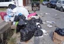La Banda de Shilcayo: Vecinos de Los Sauces denuncian acumulación de basura por cuatro días sin recojo