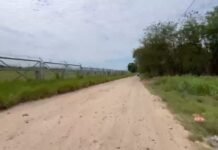 Tarapoto: Vecina de Villa San Antonio pide limpieza e iluminación en terrenos del aeropuerto