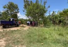 Tarapoto: Vecinos de Las Dunas protestaron ante presunto intento de ocupación de faja marginal