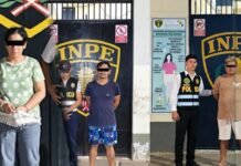 Tarapoto: Dan 7 meses de prisión preventiva a presuntos integrantes de organización dedicada al tráfico de sustancias