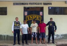 Dictan nueve meses de prisión preventiva contra presunta banda “Los Coatíes del Grano”