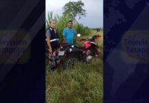 San Martín: Rondas campesinas femeninas recuperan motocicleta de joven universitario