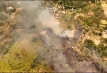 Tarapoto: Brigada Verde alerta aumento de incendios forestales, registran cerca de 70 hectáreas afectadas al día