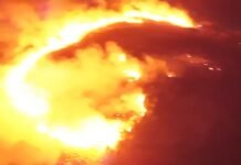 San Martín: Incendio en Cacatachi destruye más de 4 mil plantones forestales