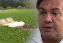 Tarapoto: Autoridad del Agua confirma que Don Pollo no descarga aguas residuales en Romeroyacu