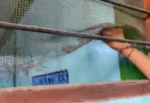 Morales: Jardín N° 0312 reporta segundo robo en menos de 24 horas, malhechores se llevaron todos los artículos de higiene