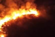 San Martín: Brigada Verde reporta más de 200 intervenciones por incendios forestales y pide investigaciones