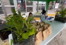 San Martín: Realizan trueque ecológico en Tarapoto para promover el reciclaje y el cuidado ambiental
