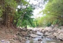 Tarapoto: Vecinos de Puerto Azul indignados por falta de ejecución de la defensa ribereña