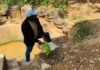 San Martín: Contaminación de chorro “El Chuini” pone en riesgo abastecimiento de agua en Morales