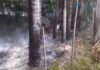 Tarapoto: “Quema irresponsable de maleza provocan incendios forestales en San Martín”