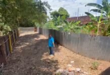 Tarapoto: Ecoguerrero pide intervención del ALA por presunta invasión de la faja marginal del río Shilcayo