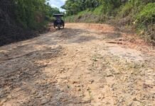 Pintuyacu: Tres empresas están interesadas en construir carretera Convento – Pintuyaquillo – Pintuyacu – Nuevo Lamas – Copal