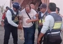 San Martín: Enjambre de abejas generó momentos de angustia en sala de convenciones de Morales
